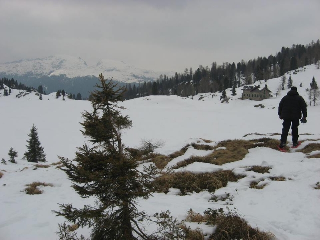  Caminar con raquetas de nieve 