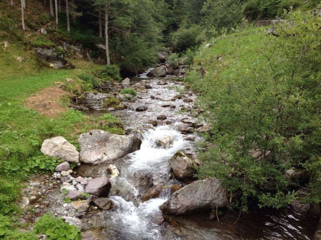  Arroyo a lo largo de la ruta 