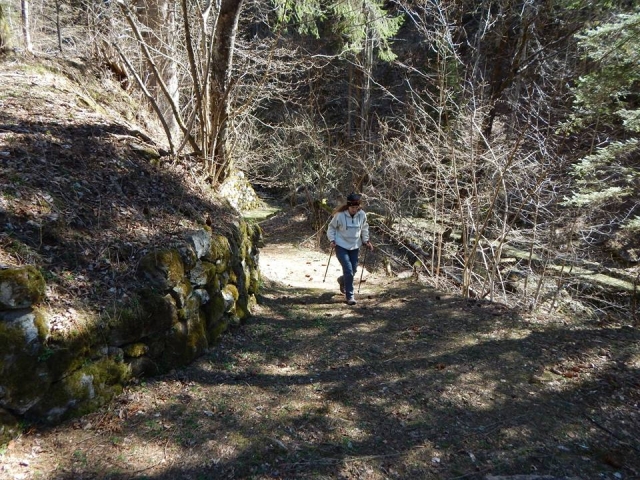  Nuestro caminanle nórdico 