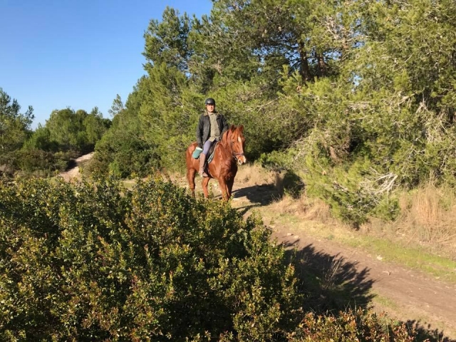  Entre los árboles a caballo 