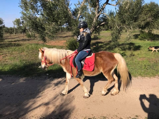 Excursión en pony 