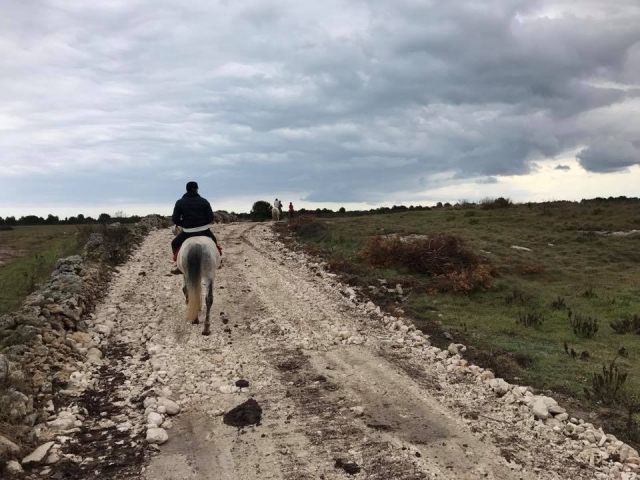  En la naturaleza de Lecce 