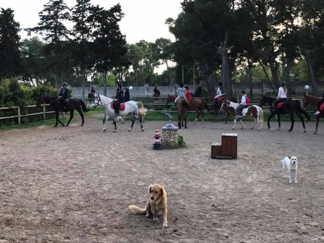  Ride! 