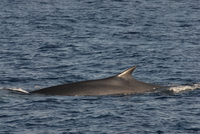  ¿Listo para disparar? 