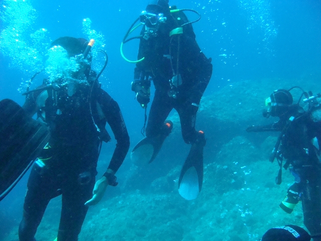  Buceo 