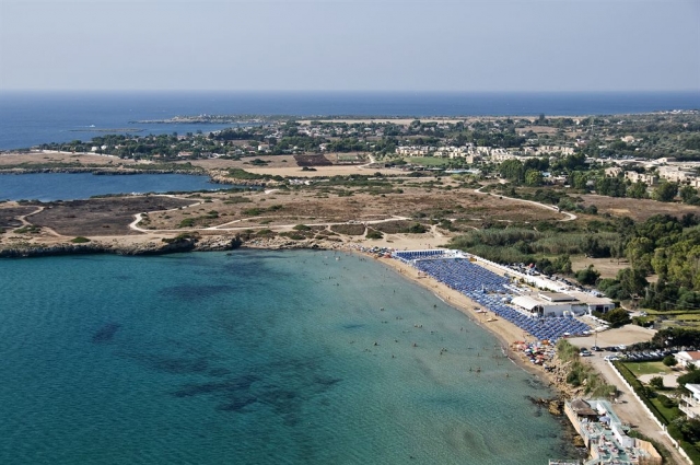 Arenella 