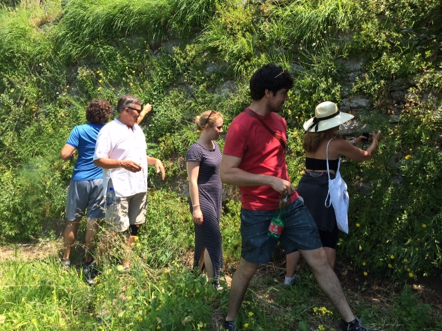  Continuar la cosecha 