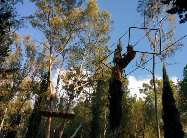  Puentes entre los árboles 