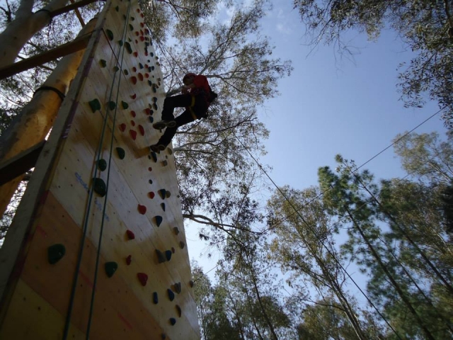  Escalada 