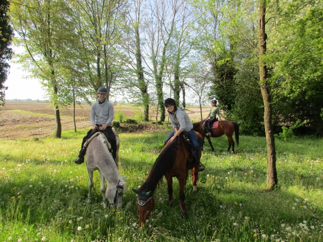  Parada con nuestros caballos 