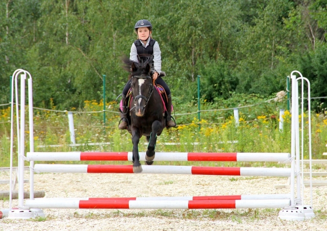  ¡Carrera de obstáculos! 