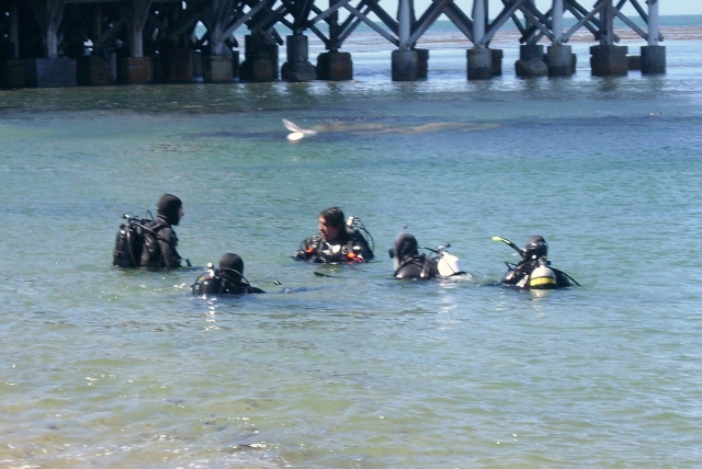  Buceo impresionanle 