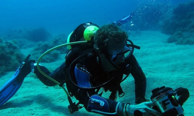  En el fondo marino
