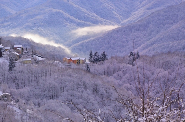  Paisaje invernal 