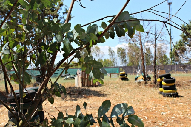  Estamos inmersos en la naturaleza 