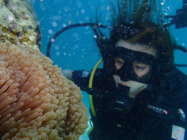  Descubriendo tesoros naturales 