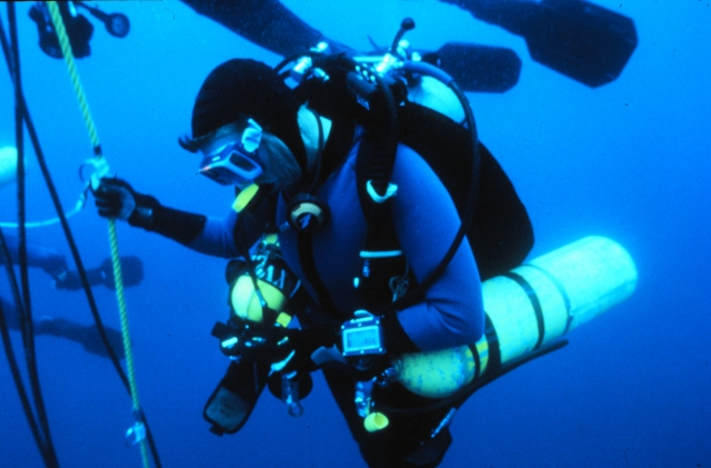  Buceo