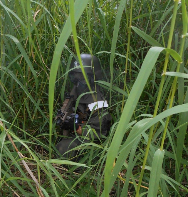  Camuflado en la hierba 