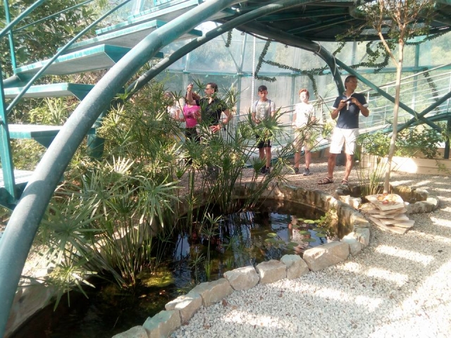  Visita Butterfly House 