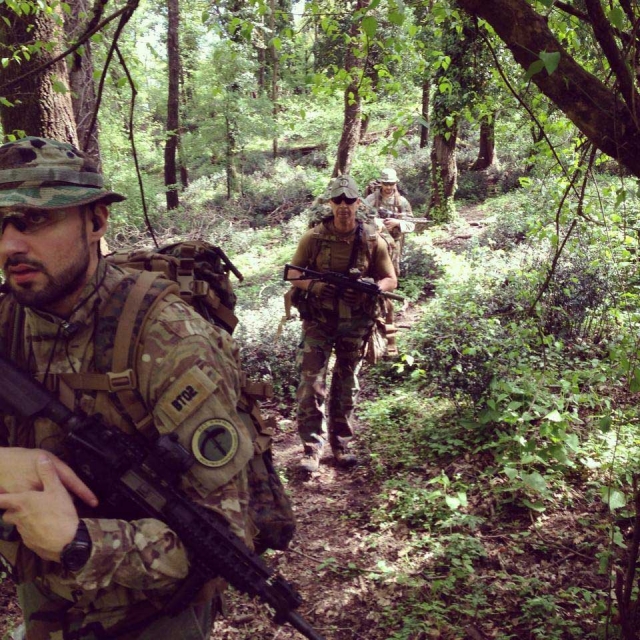  En el bosque