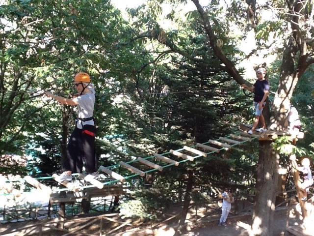  caminando entre los árboles 