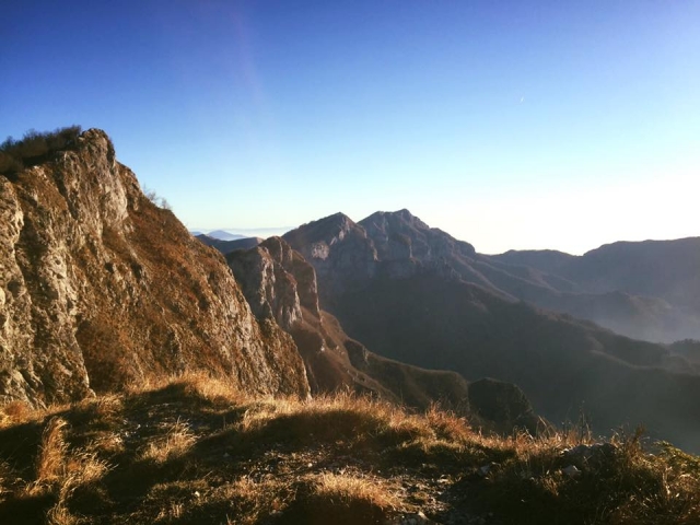 Inmerso en la naturaleza