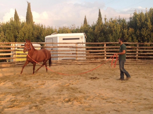  entrenamientos 