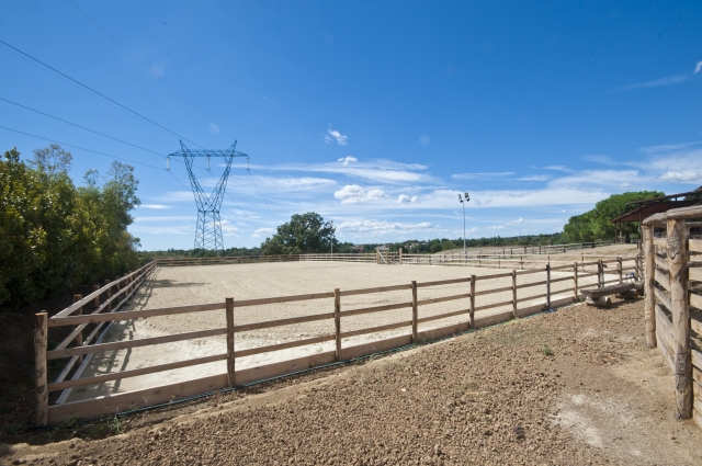  Campo 