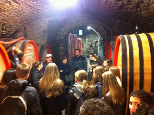 Las bodegas 