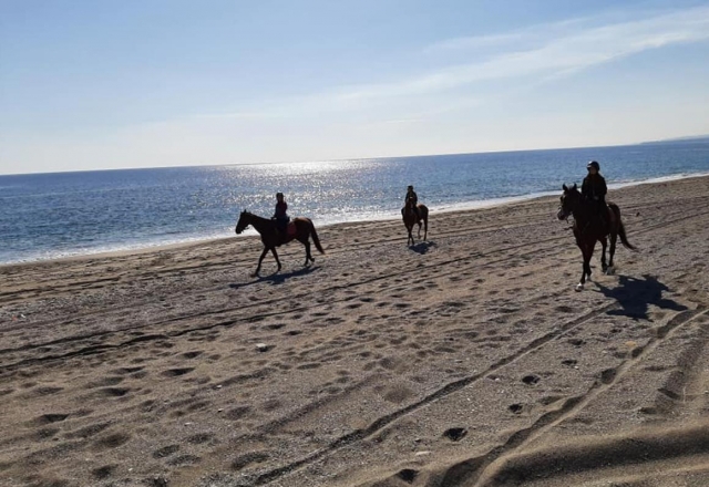  Catania a caballo 