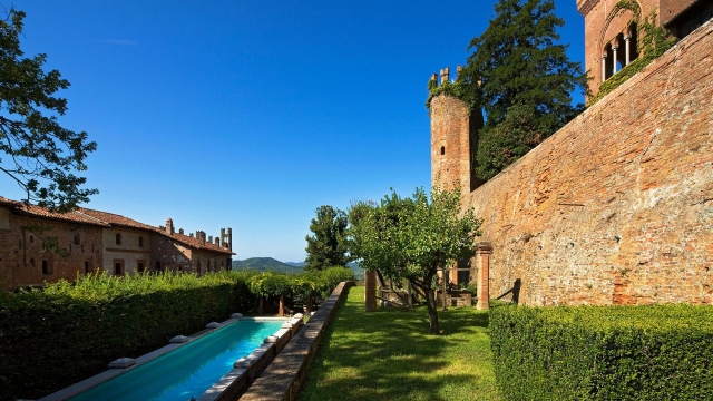 La alberca en el jardín 