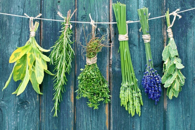  Algunos productos recolectados 