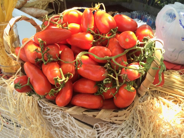  Tomates locales 