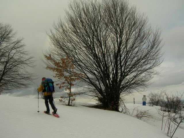  Caminamos en la nieve 