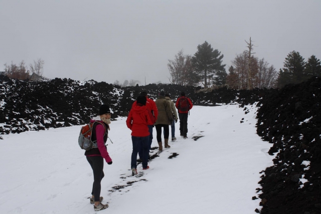  Camina hacia la cumbre 