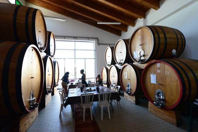  Degustación 