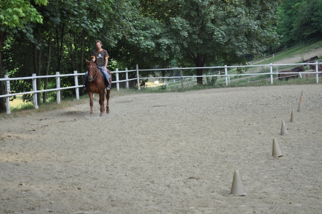  Caballo y jinele 