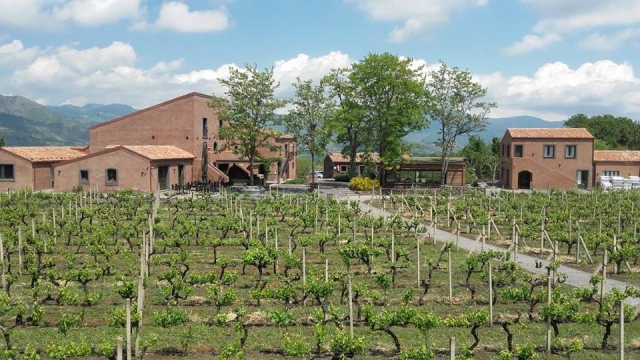  vinos de Etna 
