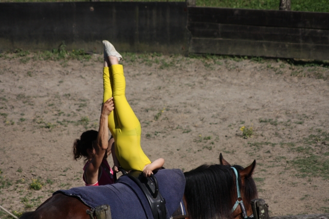 Volteo lúdico 