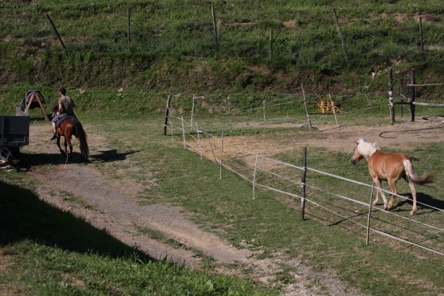  Rodeado de naturaleza 