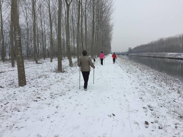  Bajo la nieve 