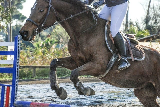  Saltando con obstáculos