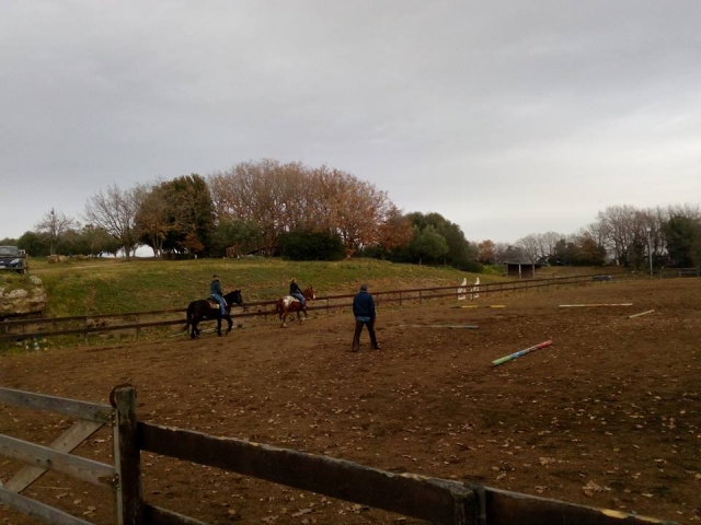  En el campo 
