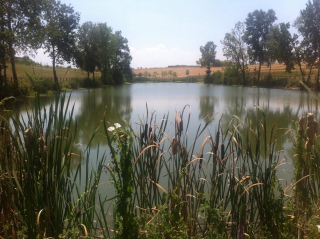 Los alrededores del rancho
