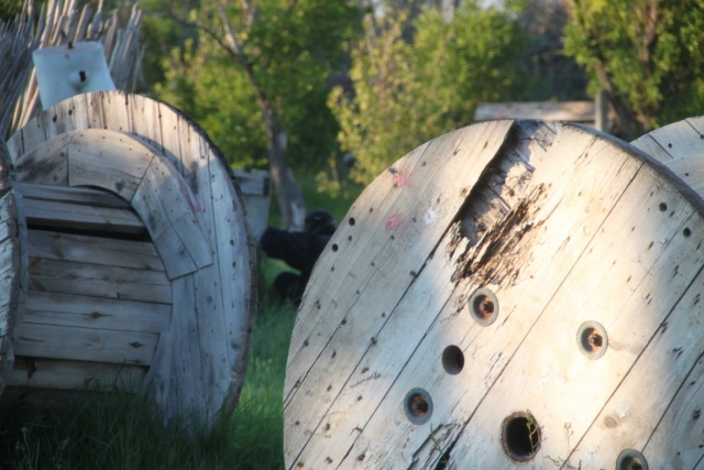  Los objetos en el campo 