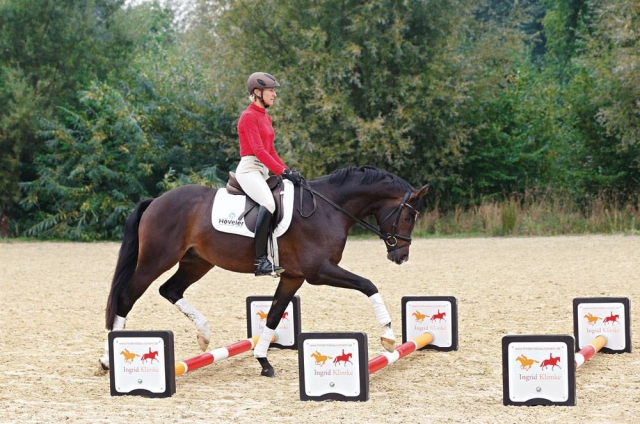 Duranle el entrenamiento 