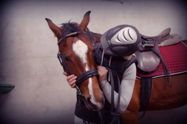  Amistades maravillosas 