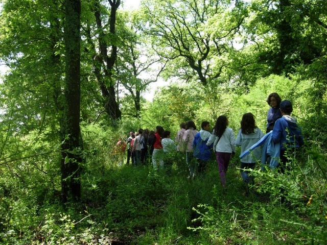  Actividades para niños en la naturaleza 
