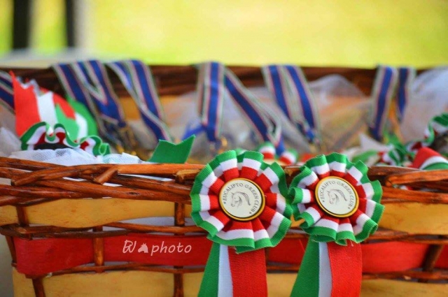  Centro de excelencia 