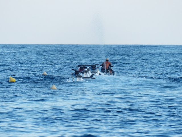  Todo en línea en el mar 